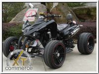250 cc RENN QUAD ATV 2PERS. EEC 14