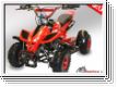 Mini Quad Dragon II 49cc